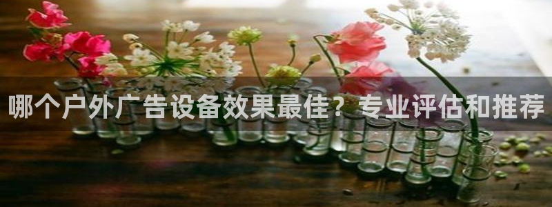 杏宇平台代理多少钱一个