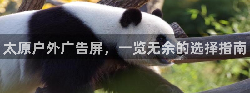 杏宇平台登录步骤图