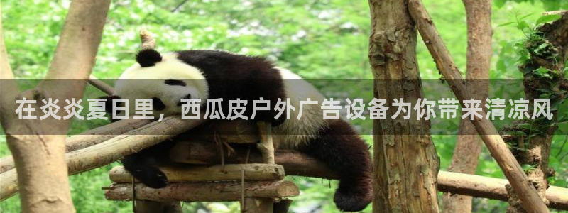 杏宇平台主管