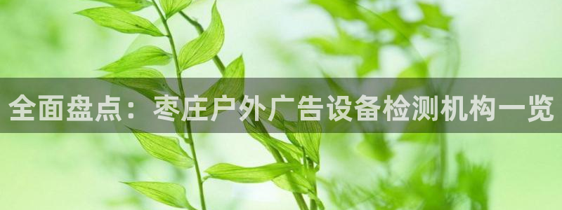 杏宇平台代理怎么样啊
