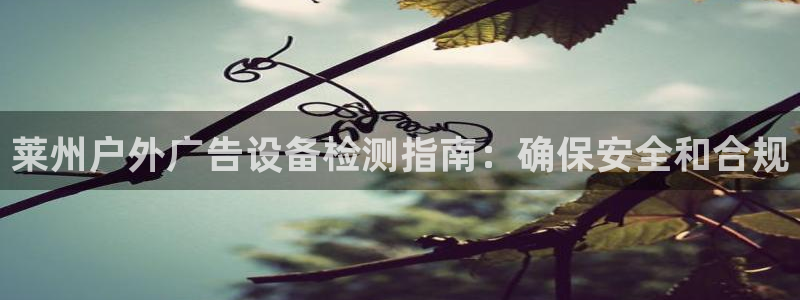 杏宇平台是什么