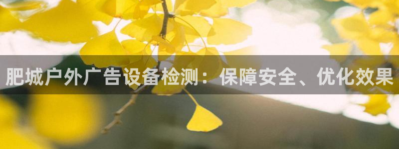 杏宇平台登录步骤是什么：肥城户外广告设备检测：保障安全、优化效果