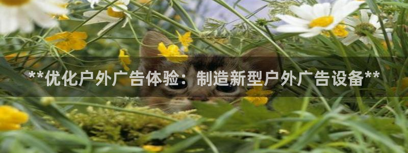 杏宇平台主管：**优化户外广告体验：制造新型户外广告设备**