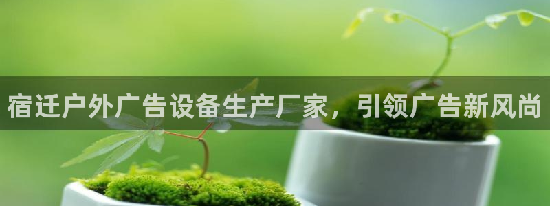 杏宇平台代理多少钱一个月