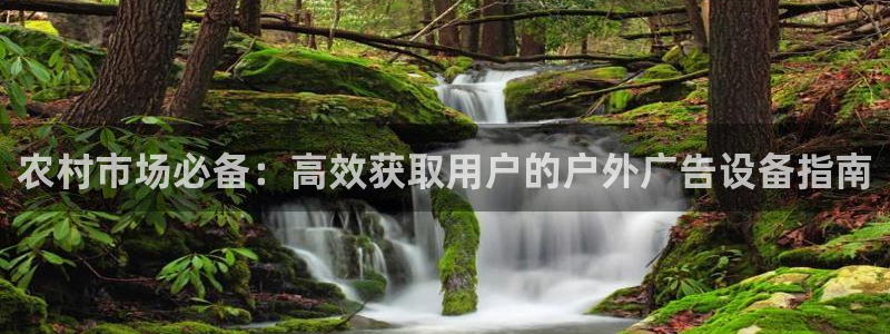杏宇平台代理多少钱一个月