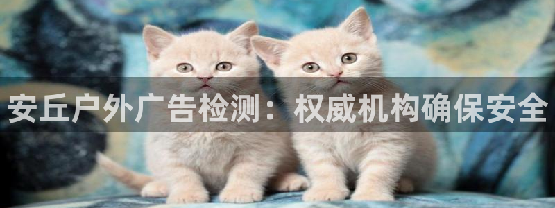 杏宇平台总代理是谁