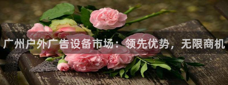 杏宇平台是什么
