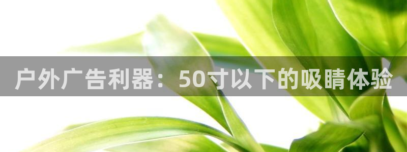 杏宇平台怎么样知乎