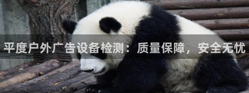 杏宇平台注册地址