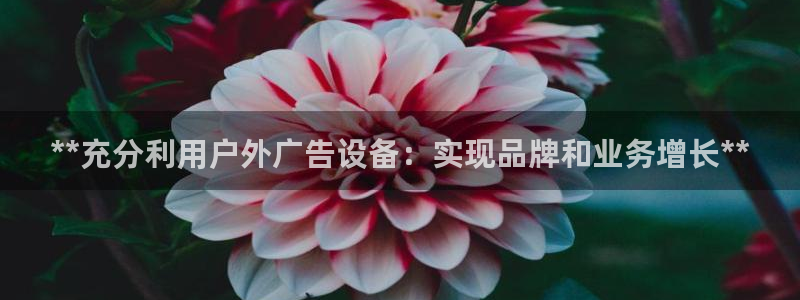 杏宇平台怎么样知乎：**充分利用户外广告设备：实现品牌和业务增长**