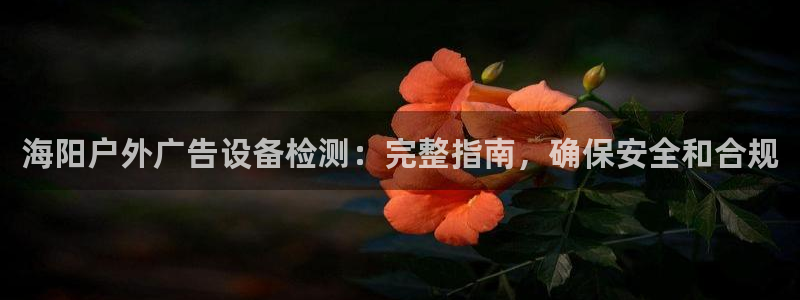 杏宇平台代理怎么赚钱：海阳户外广告设备检测：完整指南，确保安全和合规