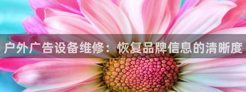 杏宇平台代理多少钱一个