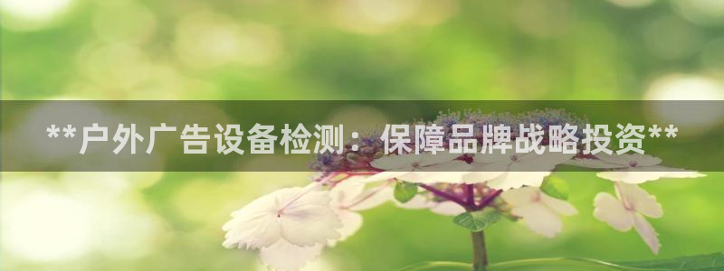 杏宇平台代理多少钱一个月：**户外广告设备检测：保障品牌战略投资**