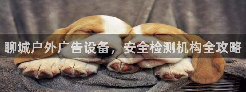 杏宇平台代理怎么样啊
