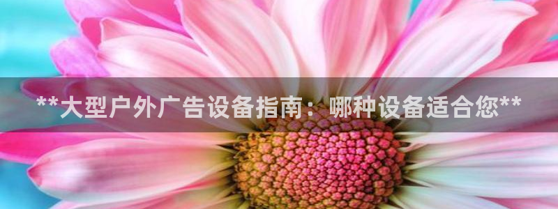 杏宇平台总代理：**大型户外广告设备指南：哪种设备适合您**