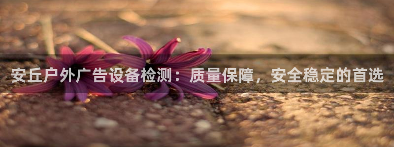 杏宇平台官网注册
