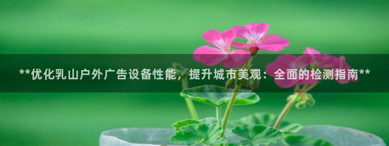 杏宇平台登录步骤图：**优化乳山户外广告设备性能，提升城市美观：全面的检测指南**