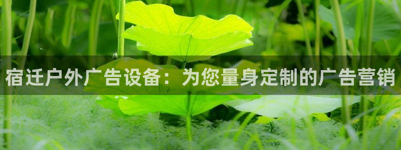 杏宇平台注册登录：宿迁户外广告设备：为您量身定制的广告营销