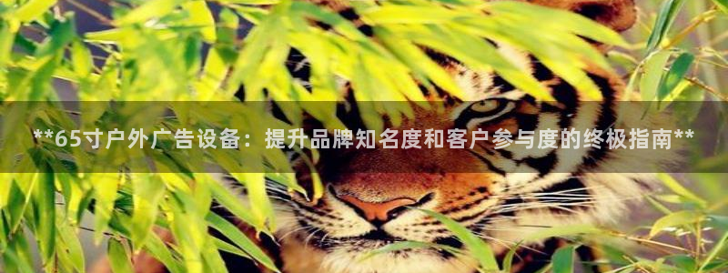 杏宇平台怎么样知乎