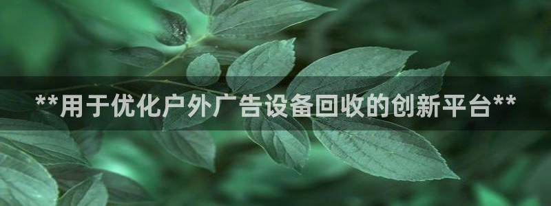 杏宇平台是什么