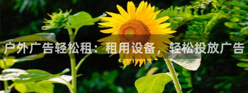 杏宇平台招商电话号码