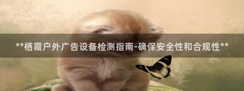 杏宇平台代理怎么赚钱：**栖霞户外广告设备检测指南-确保安全性和合规性**