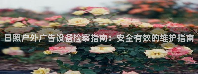 杏宇平台注册地址在哪里
