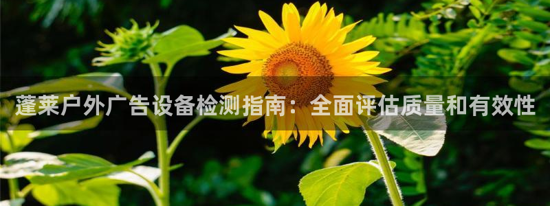 杏宇平台代理怎么赚钱：蓬莱户外广告设备检测指南：全面评估质量和有效性