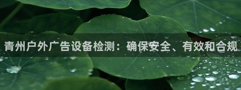 杏宇平台怎么样赚钱：青州户外广告设备检测：确保安全、有效和合规