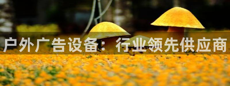杏宇平台怎么样