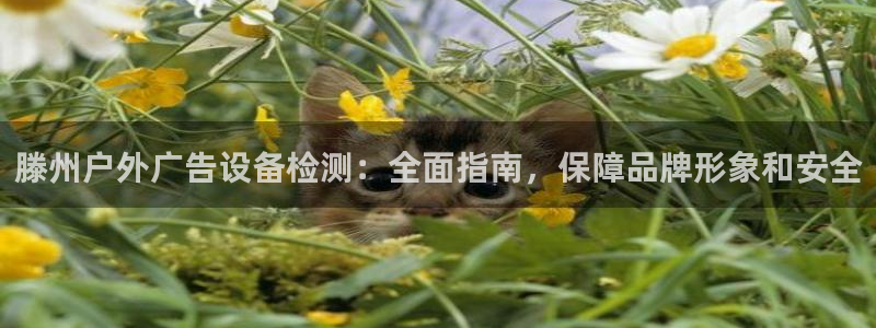 杏宇官方平台官网下载：滕州户外广告设备检测：全面指南，保障品牌形象和安全