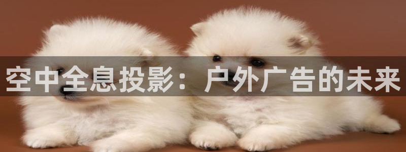 杏宇平台代理怎么样