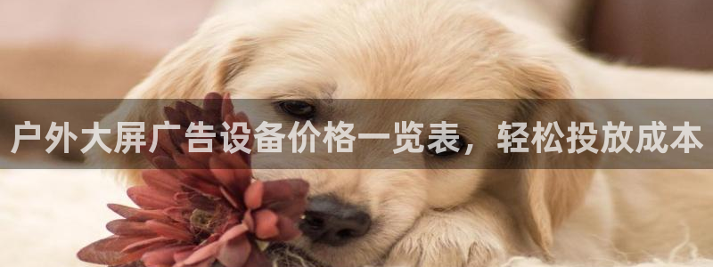 杏宇平台登录方法