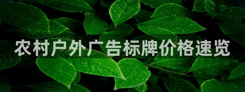 杏宇平台代理怎么赚钱快