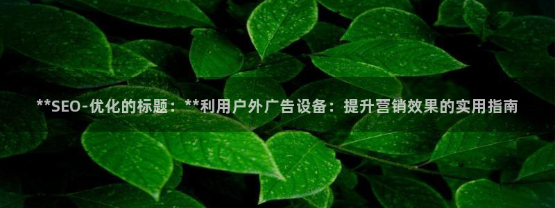 杏宇平台提现为什么这么久呢：**SEO-优化的标题：**利用户外广告设备：提升营销效果的实用指南