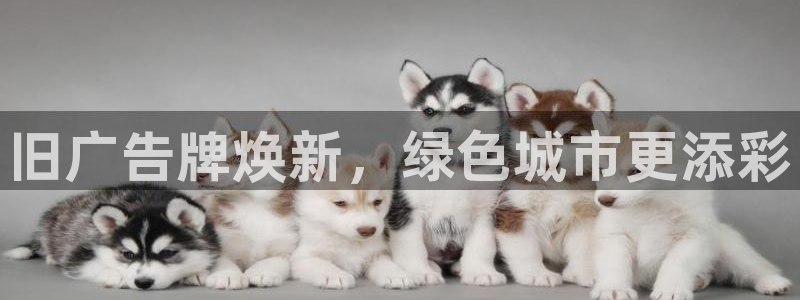 杏宇平台怎么样