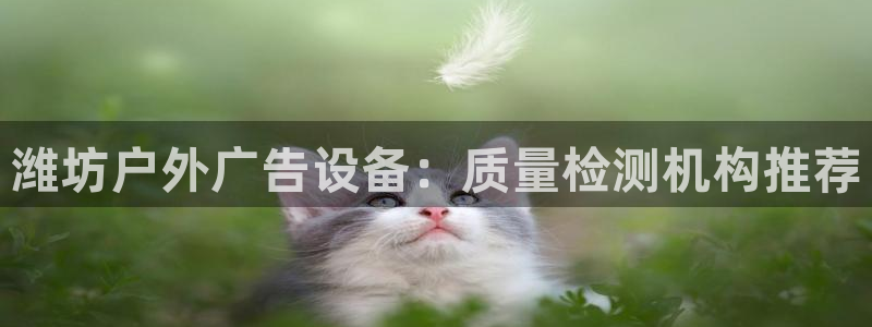 杏宇平台代理怎么赚钱的