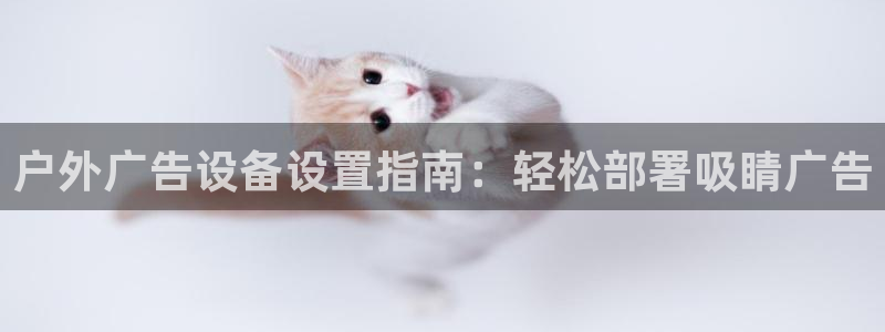 杏宇平台总代理是谁