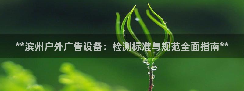 杏宇平台招商：**滨州户外广告设备：检测标准与规范全面指南**