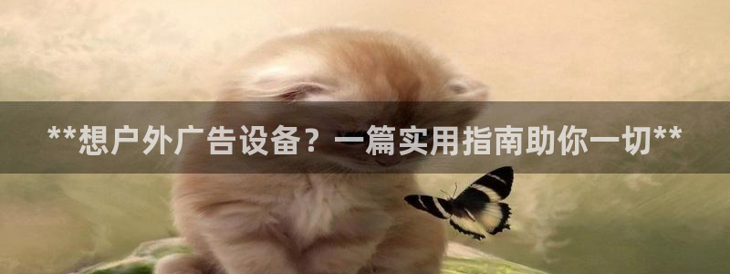 杏宇平台总代理电话