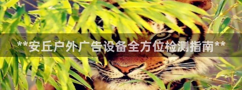 杏宇平台登陆：**安丘户外广告设备全方位检测指南**