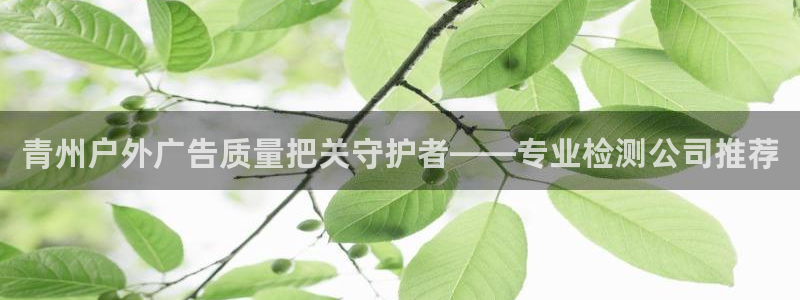 杏宇平台招商电话号码