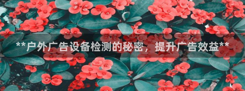 杏宇平台总代理是谁