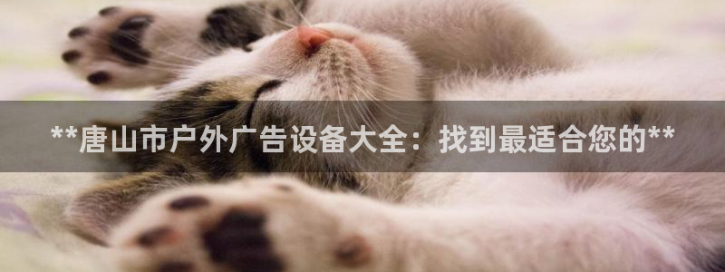 杏宇平台代理怎么样赚钱