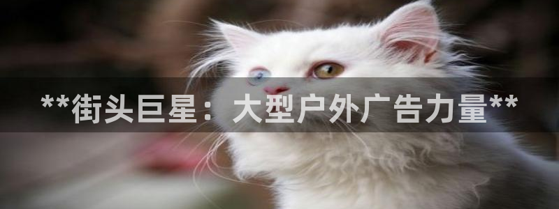 杏宇平台代理多少钱一次