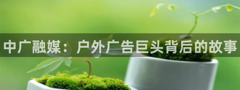 杏宇平台代理怎么样赚钱