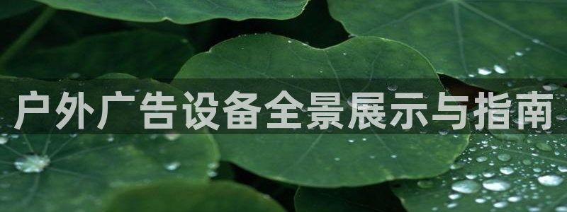 杏宇平台代理怎么样可靠吗
