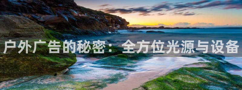 杏宇平台注册登录
