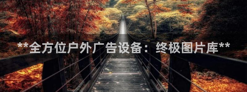 杏宇平台代理怎么样：**全方位户外广告设备：终极图片库**