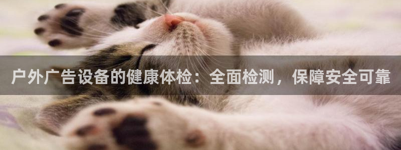 杏宇平台是什么